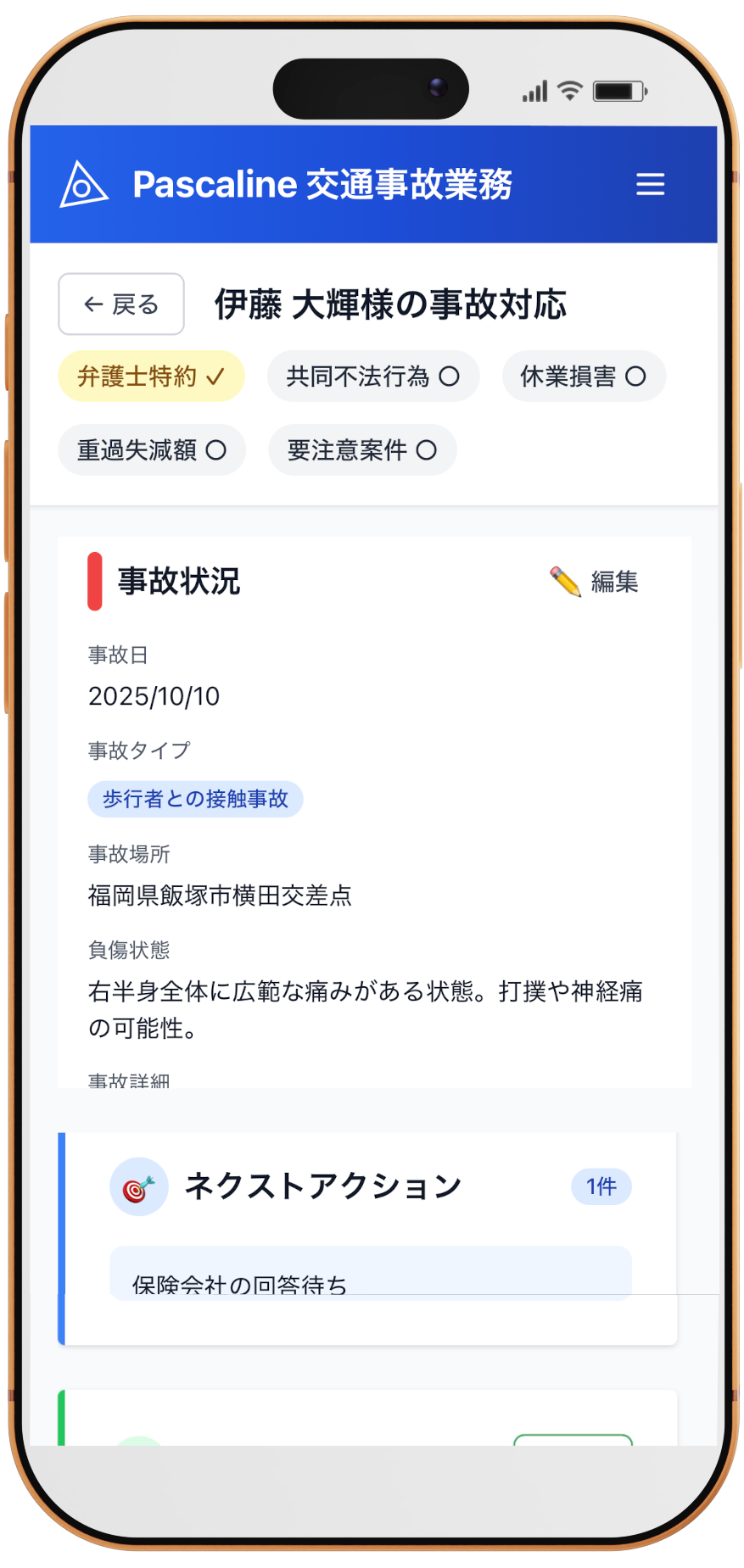 Pascaline Smartphone Interface